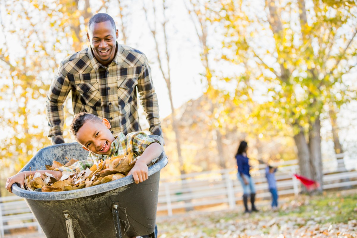 Allergy-Safe Fall Dishes Without Nuts or Seeds