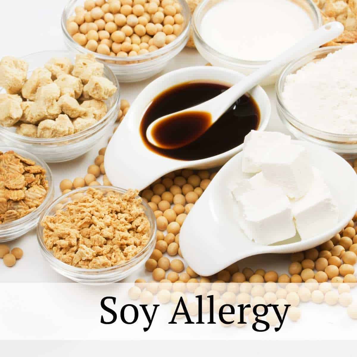 Allergen-Free Dining Soy-Free Recipes for Every Occasion