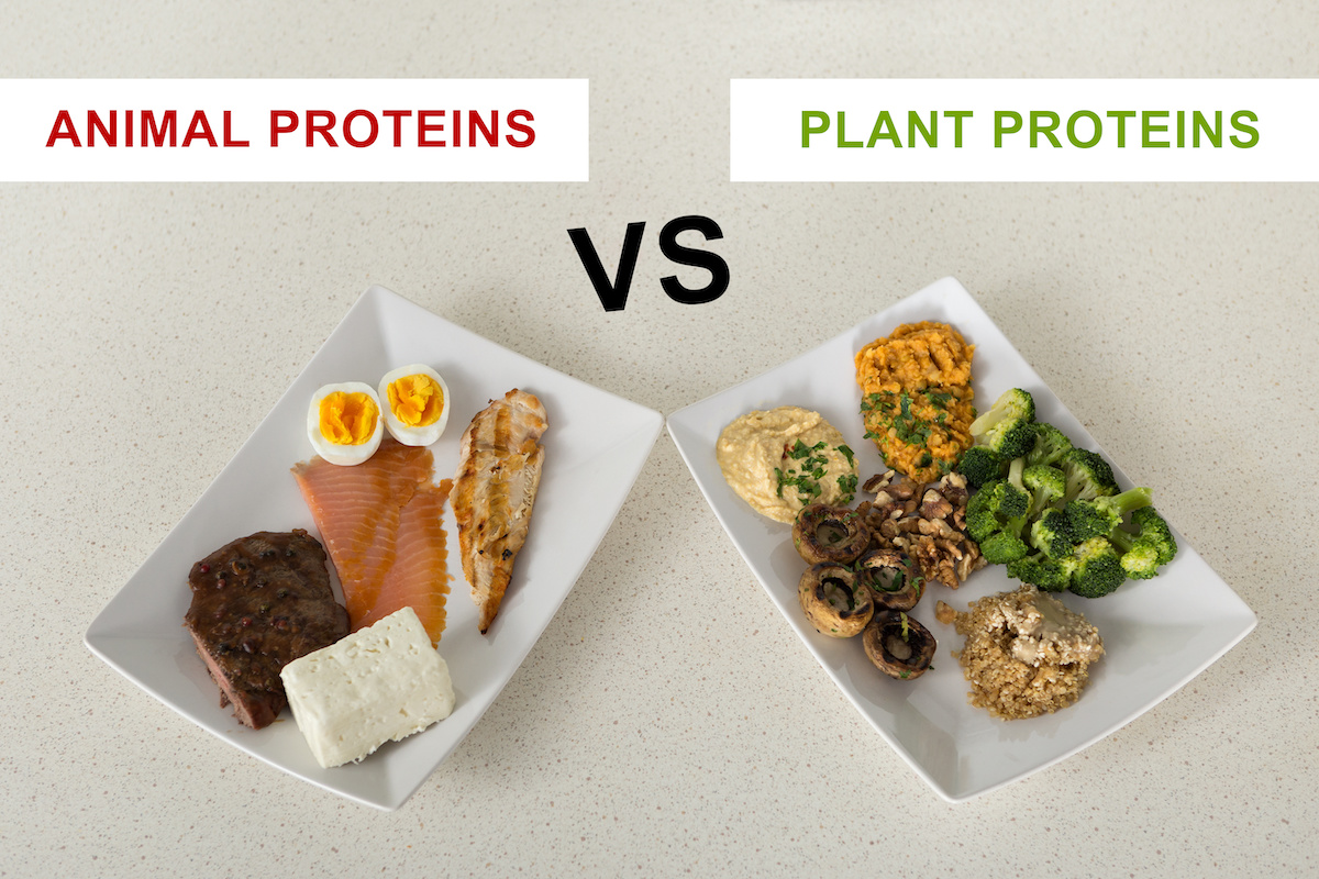 How to Combine Plant-Based and Animal Protein in Breakfast