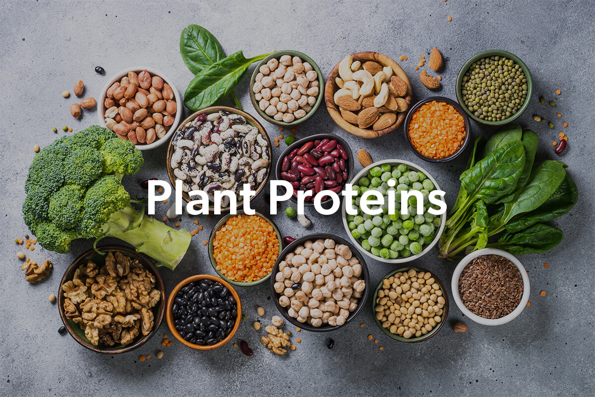 How to Mix and Match Plant and Protein in Flexitarian Meals