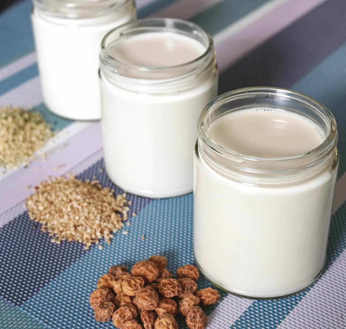 How to Make Nut-Free Milk Alternatives at Home