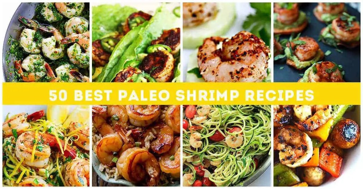 Paleo Wrap Recipes That Are Anything but Boring